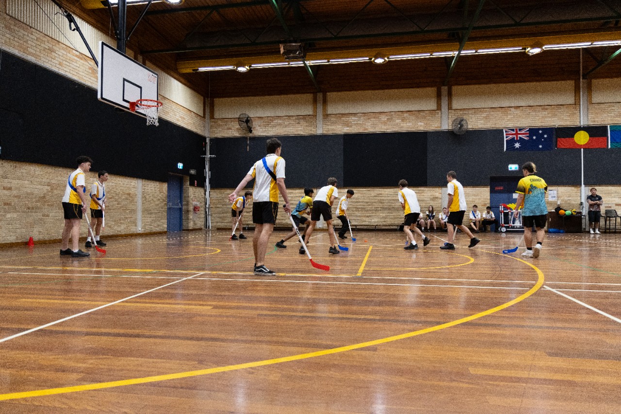 141A6060PDHPE PDHPE