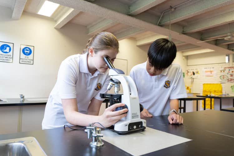 Students using a microscope