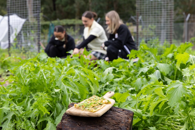 Students at the farm, farm to plate