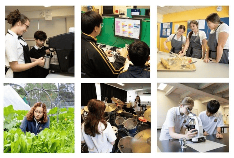 Collection of faculties